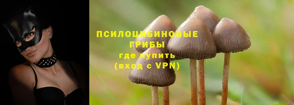 синтетический гашиш Алексеевка