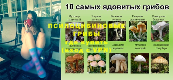 каннабис Алзамай